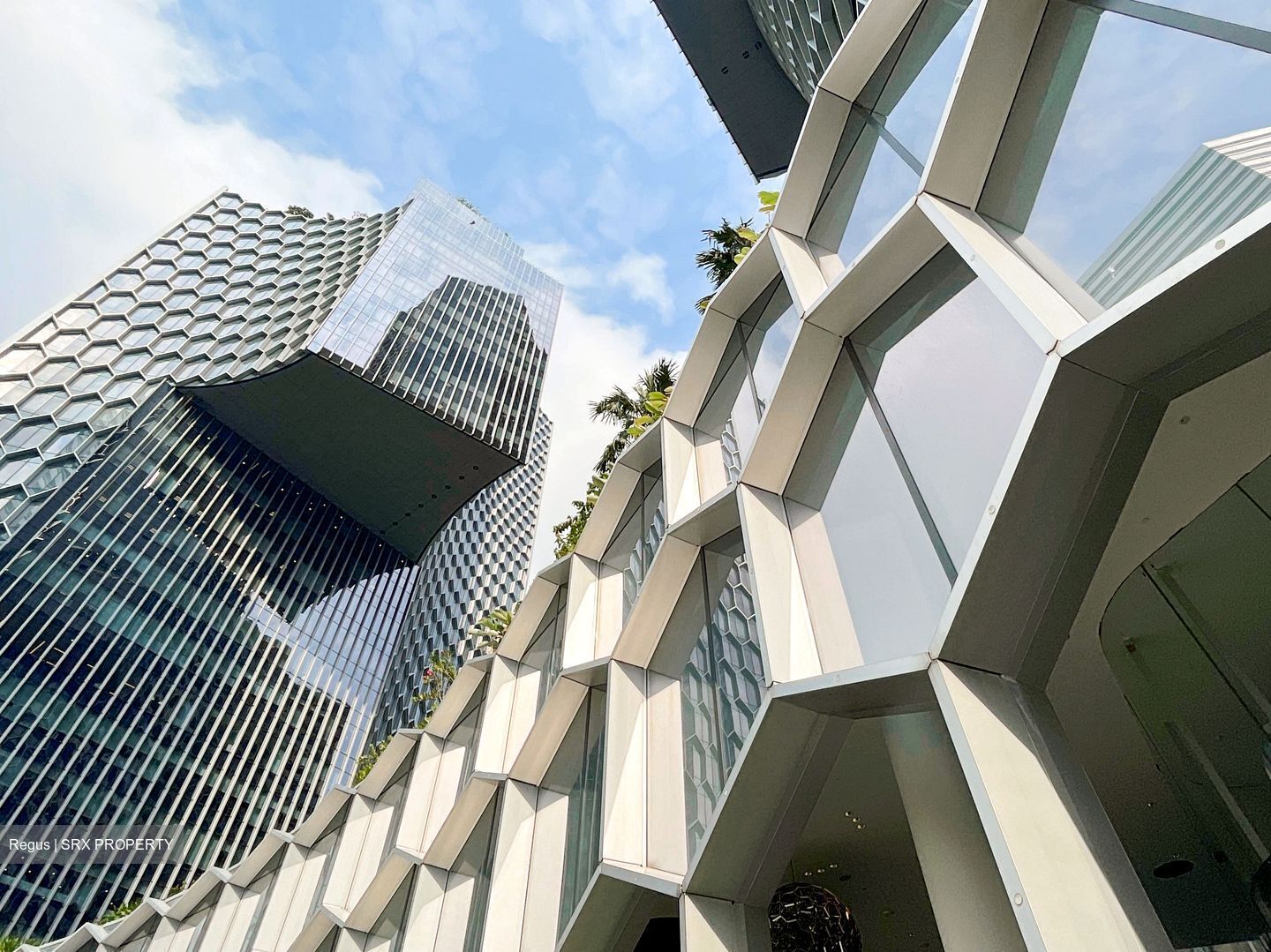 Duo Tower (D7), Office #504537101